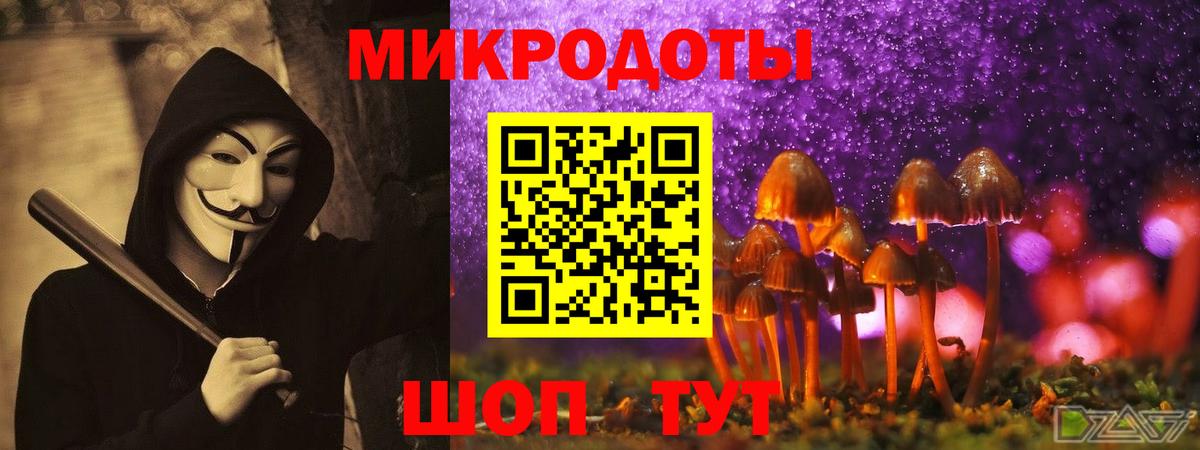 Галлюциногенные грибы мицелий Ставрополь