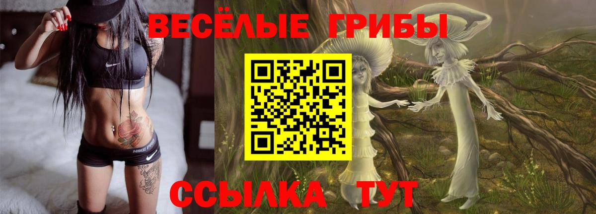 Галлюциногенные грибы Magic Shrooms  Вход с VPN  Ставрополь 